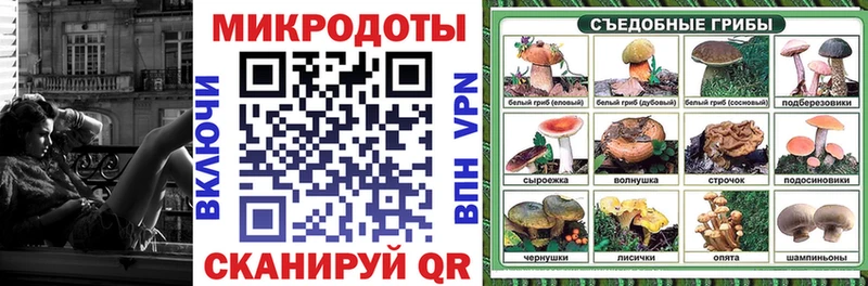 Галлюциногенные грибы Psilocybe  где купить наркоту  Ленинск-Кузнецкий 